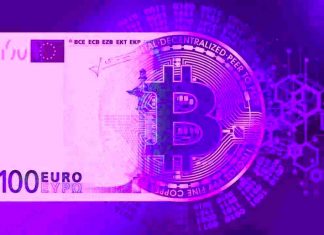 Euro digitale cbdc