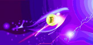 balene bitcoin
