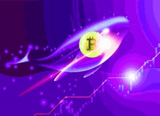 balene bitcoin