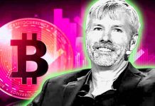 microstrategy bitcoin michael Saylo