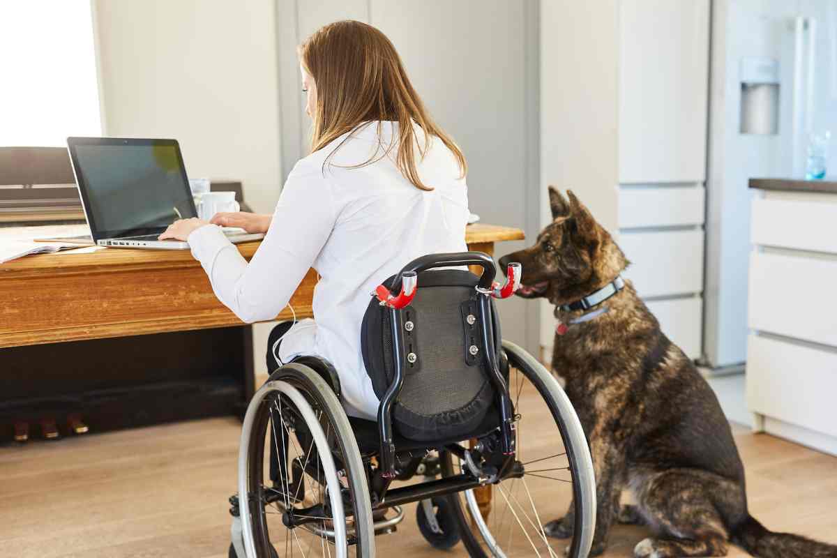 Disabilità INPS: come funziona portale